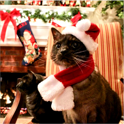 ChatGPT said:  🎅 Christmas Pet Hat & Scarf Set 🎄 – Adorable Santa Costume for Cats & Small Dogs 🐾