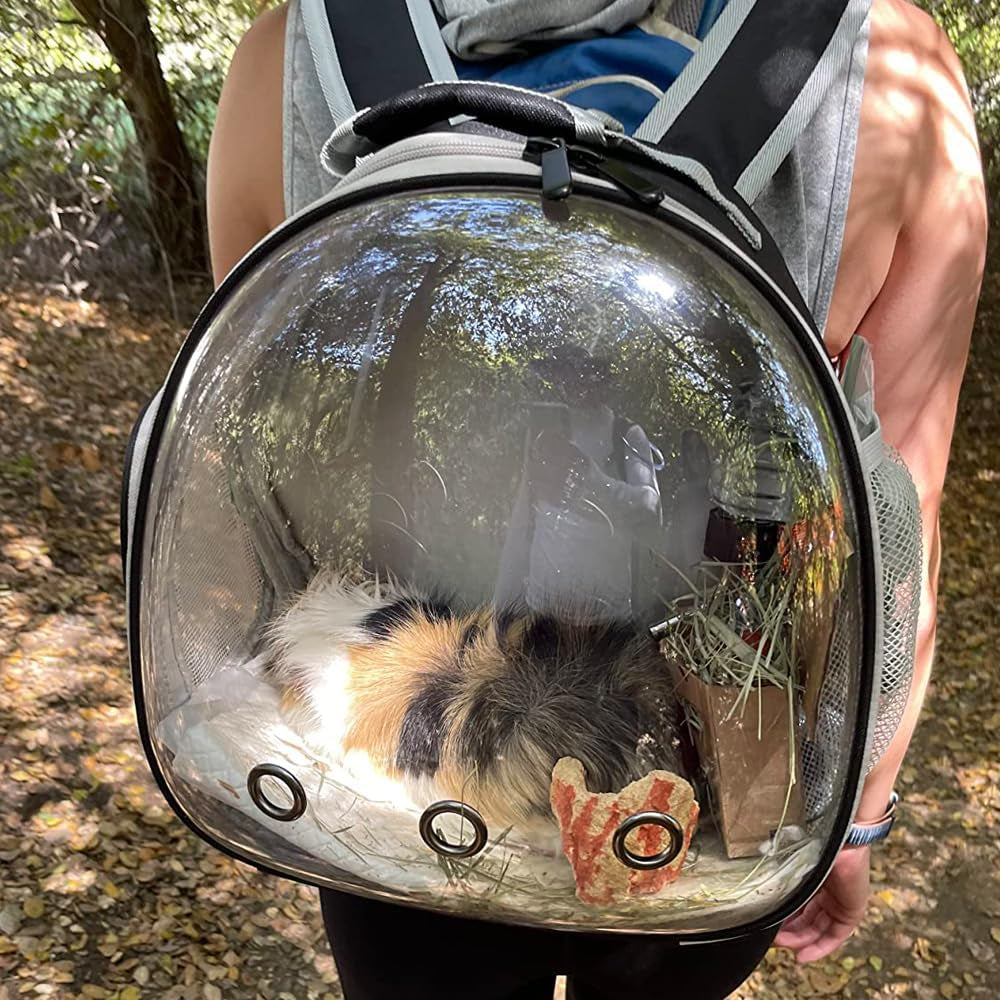 🚀 Small Animal Space Capsule Backpack – Clear Bubble Pet Carrier 🐹🦎🐦