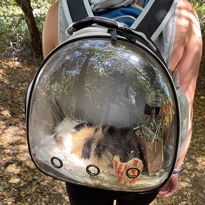 🚀 Small Animal Space Capsule Backpack – Clear Bubble Pet Carrier 🐹🦎🐦