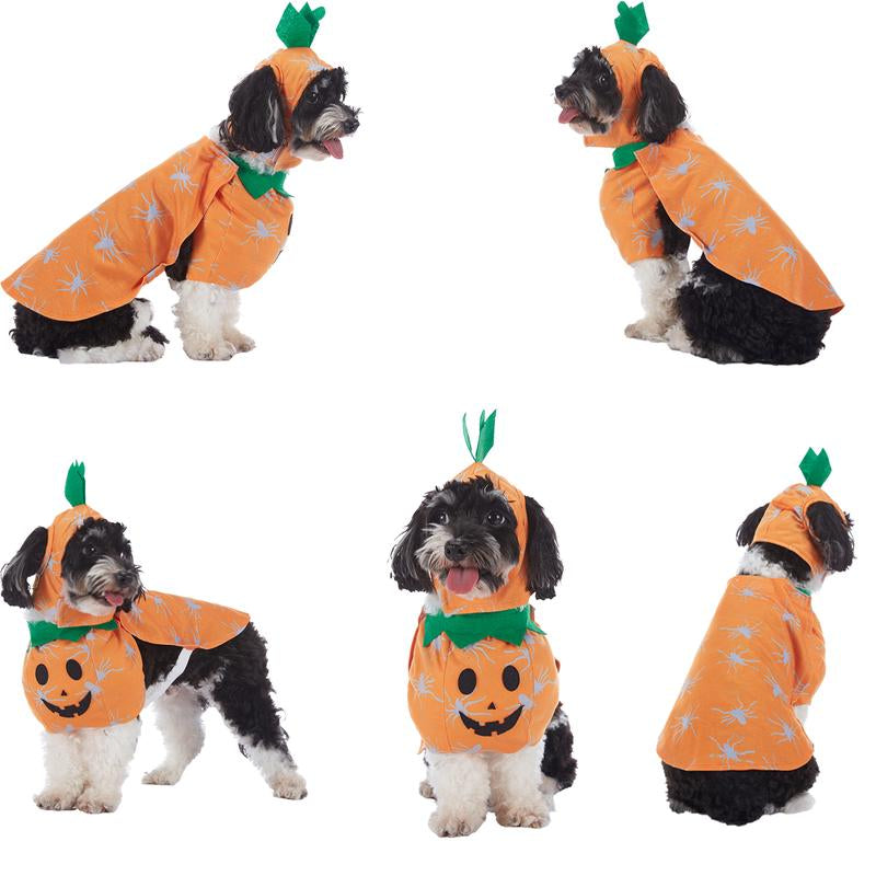 🎃 Pet Luv Halloween Costume – Pumpkin T-Shirt for Small Dogs & Cats 🐾