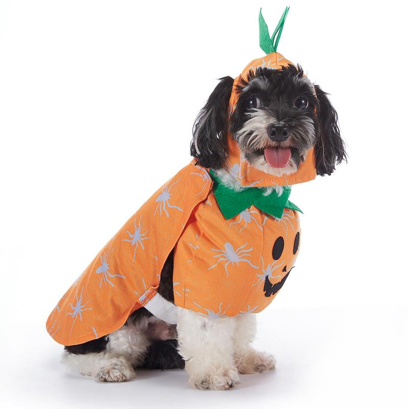 🎃 Pet Luv Halloween Costume – Pumpkin T-Shirt for Small Dogs & Cats 🐾