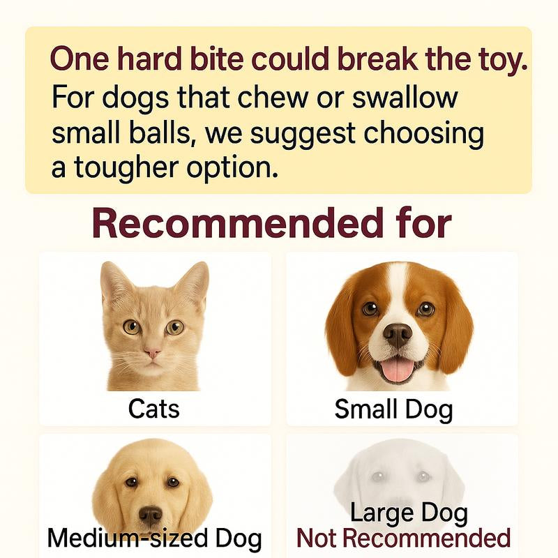 🎃 Halloween Limited Edition – Mizusu Interactive Cat & Dog Teaser Toy 🐾