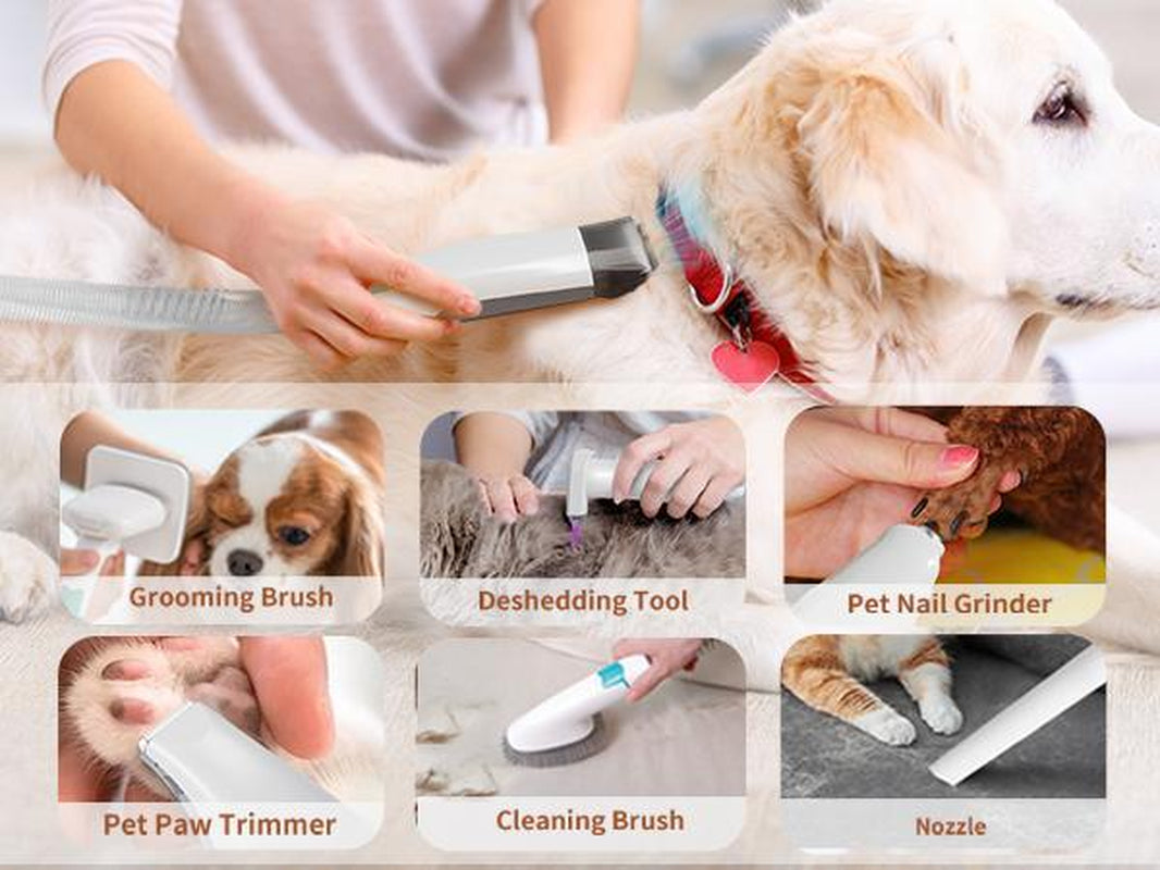 🐶 7-in-1 Pet Grooming Vacuum – Low-Noise All-in-One Kit 🐾