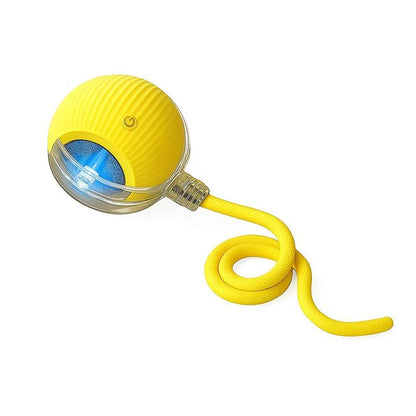 🎃 Halloween Limited Edition – Mizusu Interactive Cat & Dog Teaser Toy 🐾