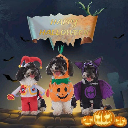🎃 Pet Luv Halloween Costume – Pumpkin T-Shirt for Small Dogs & Cats 🐾