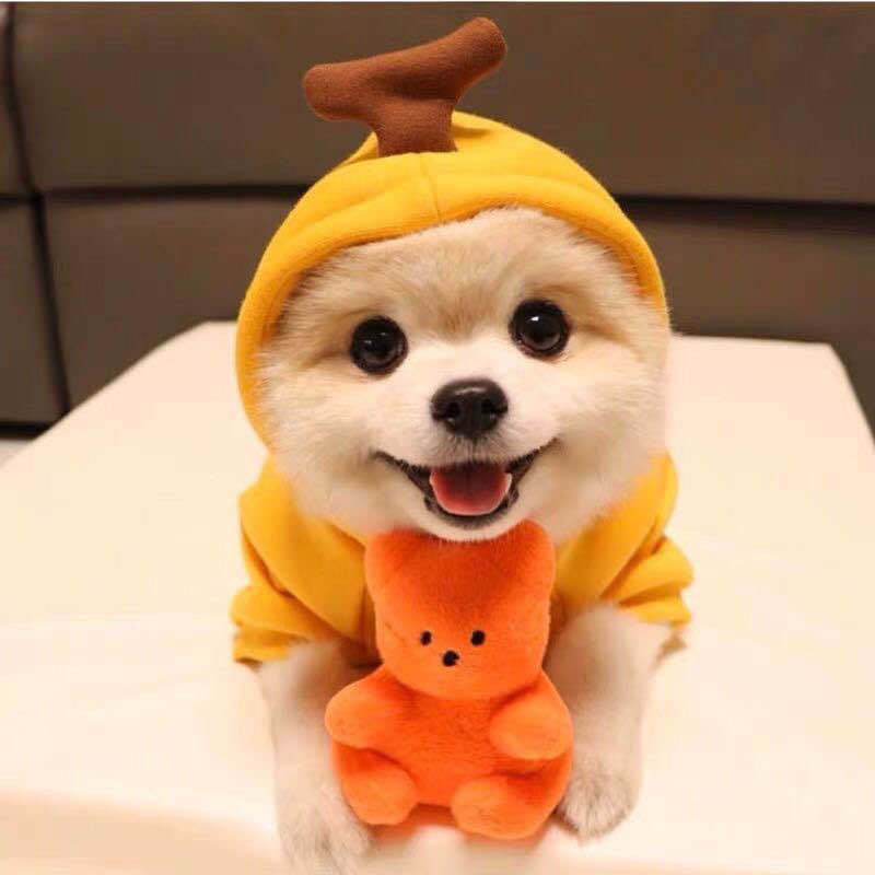 🍎 Cute Fruit Dog Hoodie 🍌 – Warm Fleece Pet Outfit for Small Dogs & Cats 🐾