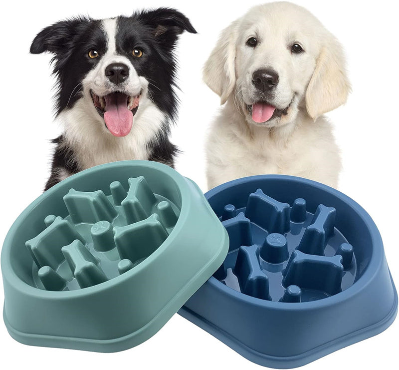 Anti-Choking Slow Feeder Bowl – Pet Puzzle Dish for Small & Medium Dogs or Cats)
