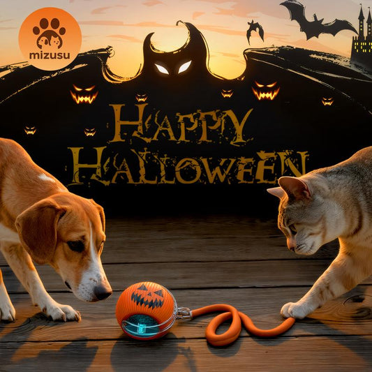 🎃 Halloween Limited Edition – Mizusu Interactive Cat & Dog Teaser Toy 🐾