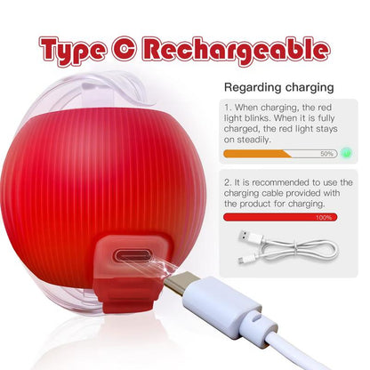 🎃 Halloween Limited Edition – Mizusu Interactive Cat & Dog Teaser Toy 🐾