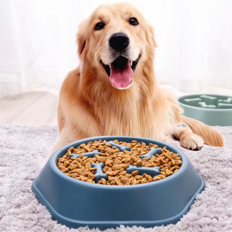 Anti-Choking Slow Feeder Bowl – Pet Puzzle Dish for Small & Medium Dogs or Cats)