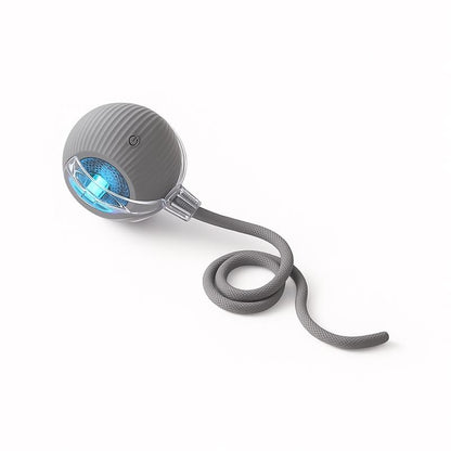 🎃 Halloween Limited Edition – Mizusu Interactive Cat & Dog Teaser Toy 🐾