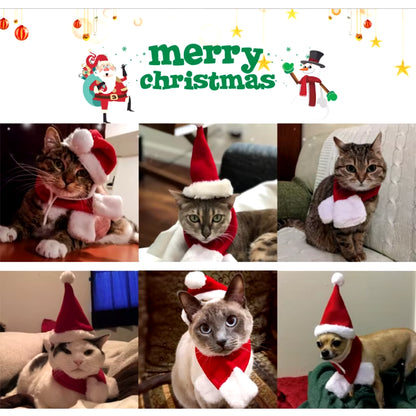 ChatGPT said:  🎅 Christmas Pet Hat & Scarf Set 🎄 – Adorable Santa Costume for Cats & Small Dogs 🐾