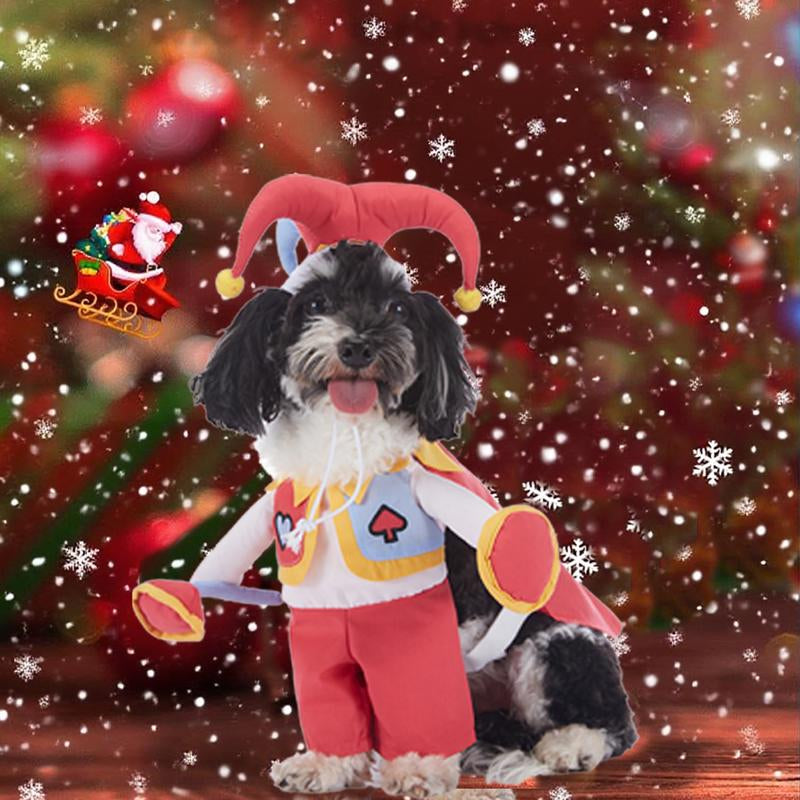 🎃 Pet Luv Halloween Costume – Pumpkin T-Shirt for Small Dogs & Cats 🐾