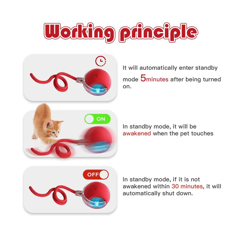 🎃 Halloween Limited Edition – Mizusu Interactive Cat & Dog Teaser Toy 🐾