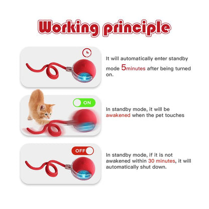 🎃 Halloween Limited Edition – Mizusu Interactive Cat & Dog Teaser Toy 🐾