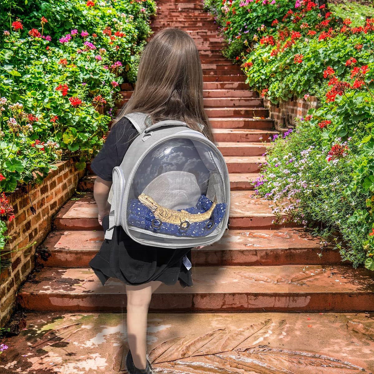 🚀 Small Animal Space Capsule Backpack – Clear Bubble Pet Carrier 🐹🦎🐦