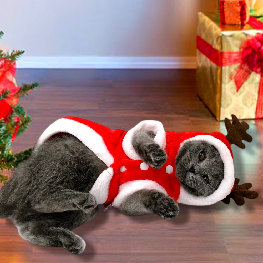 🎅 Christmas Pet Santa Hoodie 🎄 – Cozy Outfit for Cats & Small Dogs 🐾