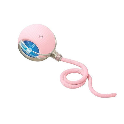 🎃 Halloween Limited Edition – Mizusu Interactive Cat & Dog Teaser Toy 🐾