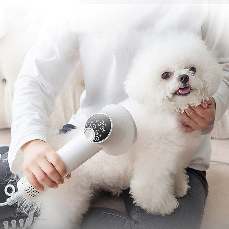 🐾 Smart Pet Hair Dryer & Comb 2-in-1 – Silent, Safe, and Powerful Grooming Tool for Dogs & Cats 🐶🐱