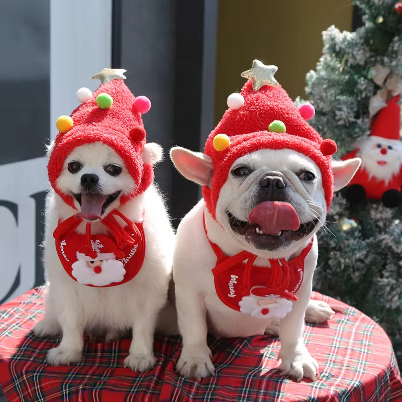 🎅 Funny Dog Christmas Hat & Bib – Holiday Pet Costume 🐾
