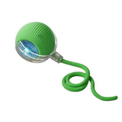 🎃 Halloween Limited Edition – Mizusu Interactive Cat & Dog Teaser Toy 🐾