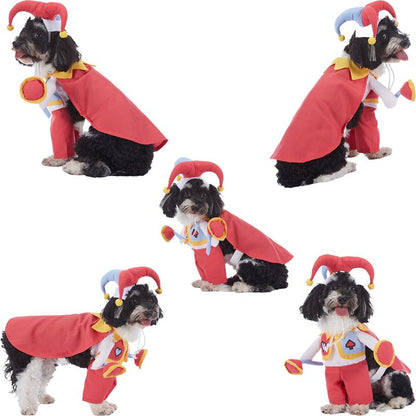 🎃 Pet Luv Halloween Costume – Pumpkin T-Shirt for Small Dogs & Cats 🐾