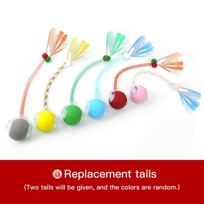 🎃 Halloween Limited Edition – Mizusu Interactive Cat & Dog Teaser Toy 🐾