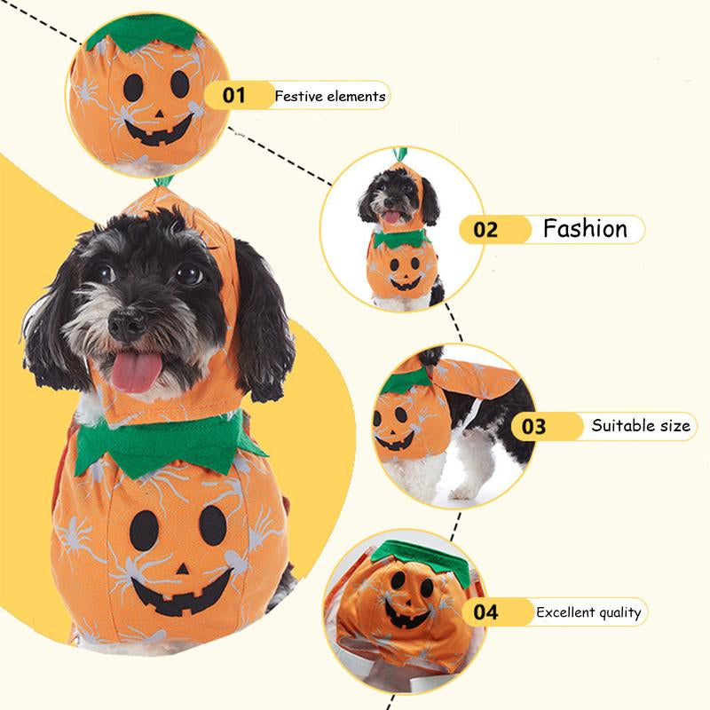 🎃 Pet Luv Halloween Costume – Pumpkin T-Shirt for Small Dogs & Cats 🐾