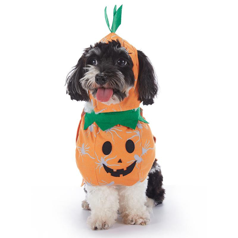 🎃 Pet Luv Halloween Costume – Pumpkin T-Shirt for Small Dogs & Cats 🐾