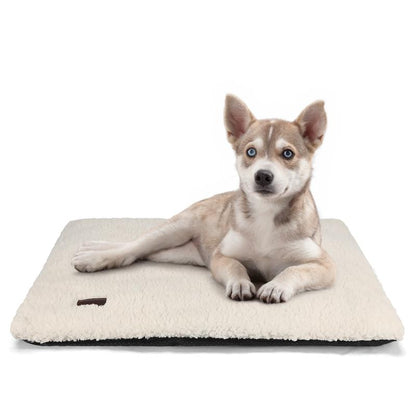 🐱 Self-Heating Cat Bed – No Electricity, Super Warm & Washable Pet Mat 🐶🔥