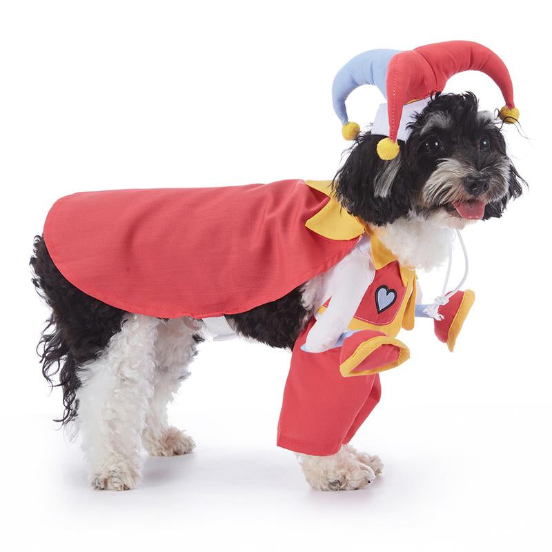 🎃 Pet Luv Halloween Costume – Pumpkin T-Shirt for Small Dogs & Cats 🐾