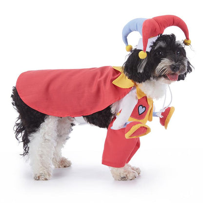 🎃 Pet Luv Halloween Costume – Pumpkin T-Shirt for Small Dogs & Cats 🐾