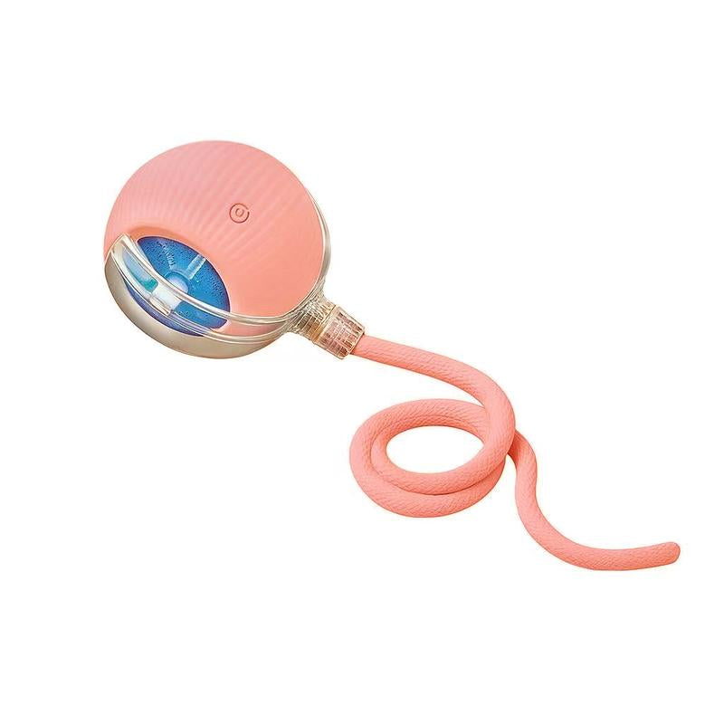 🎃 Halloween Limited Edition – Mizusu Interactive Cat & Dog Teaser Toy 🐾