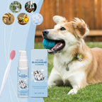 👉 Cat Chin Cleaner – 30g Gentle Blackhead & Acne Remover Lotion with Soft Brush | Deep Cleansing & Skin Care for Cats & Dogs