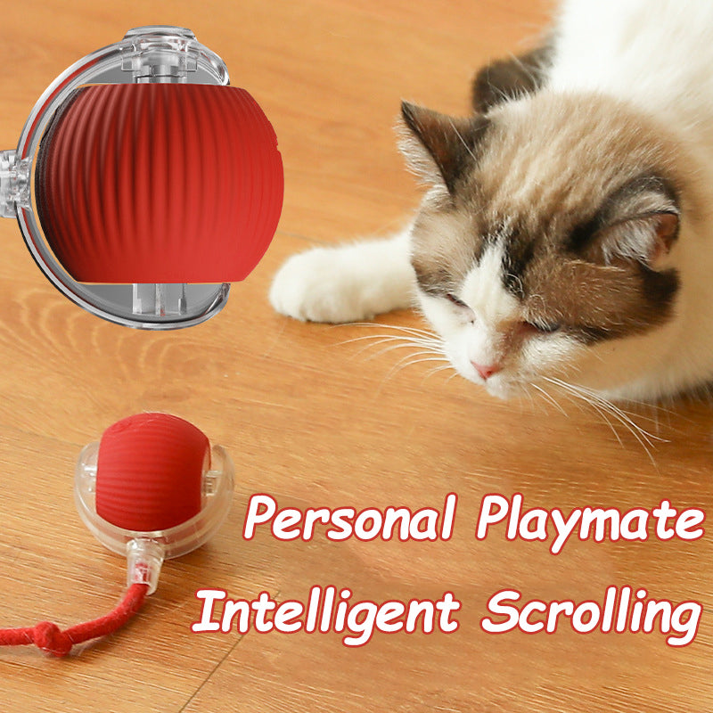 Rechargeable Smart Cat Toy Ball – Automatic Rolling Electric Mouse Simulation Ball for Dogs & Cats