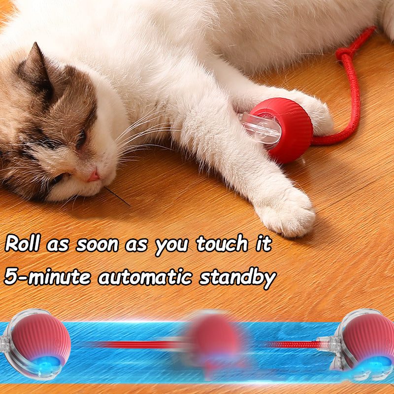 Rechargeable Smart Cat Toy Ball – Automatic Rolling Electric Mouse Simulation Ball for Dogs & Cats